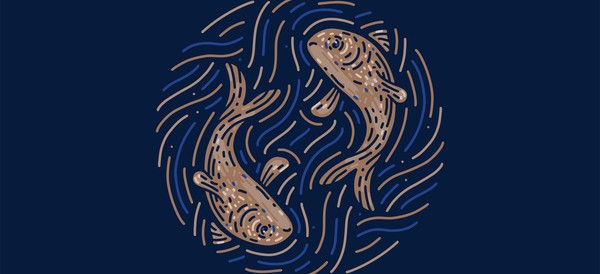 two fish existing together drawn in gold against a navy background