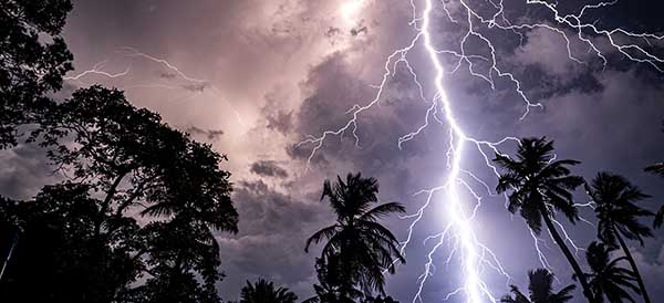 electric storm with palm trees